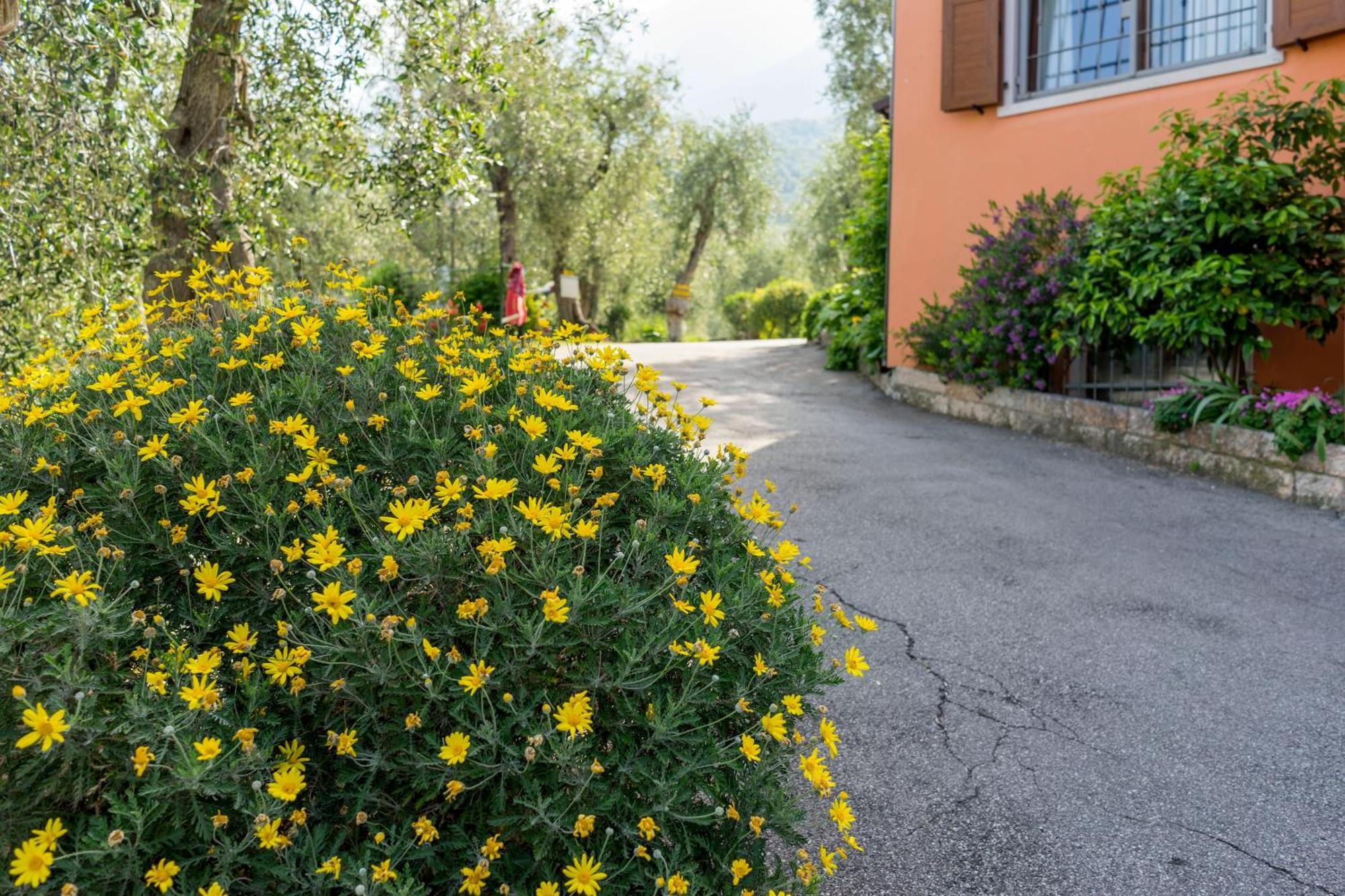 ברנצונה סול גארדה Monja Camping Village מראה חיצוני תמונה