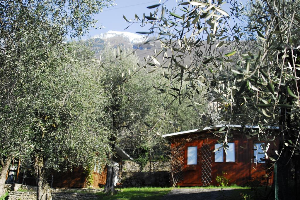 ברנצונה סול גארדה Monja Camping Village מראה חיצוני תמונה