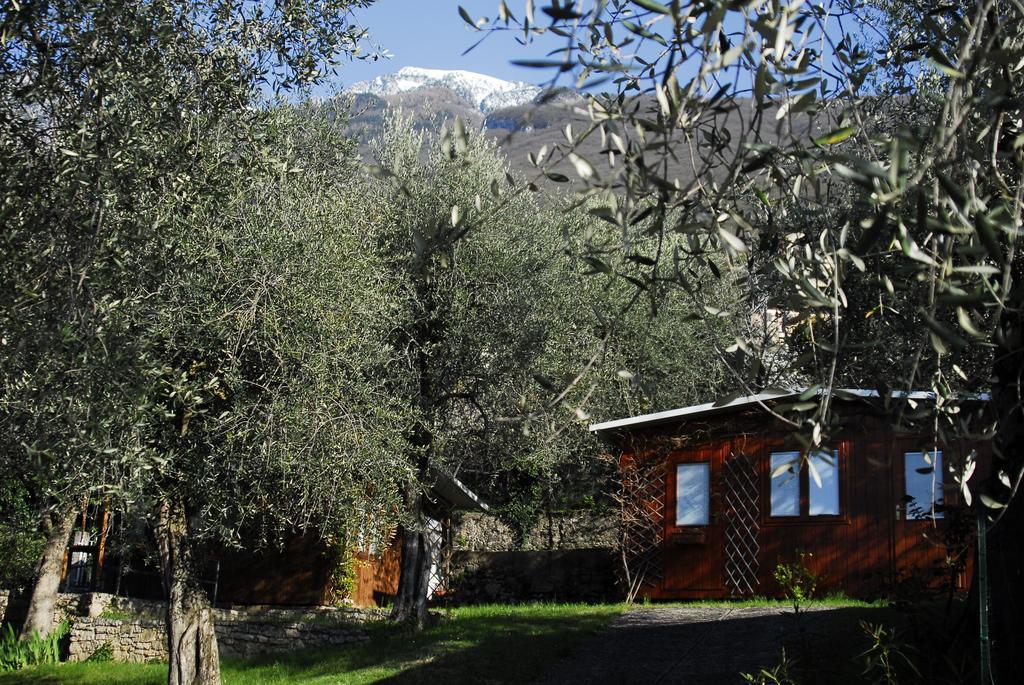 ברנצונה סול גארדה Monja Camping Village מראה חיצוני תמונה